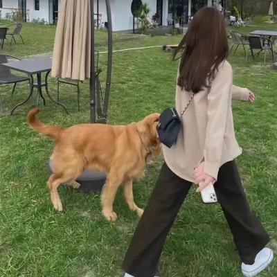 血之游戏3